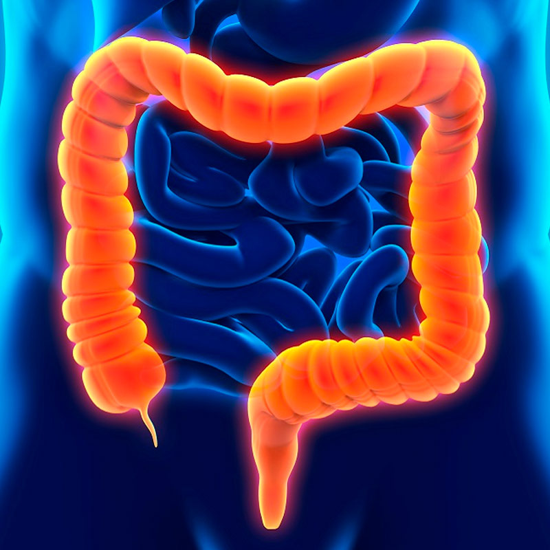 Coloproctología